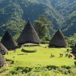 8 Pulau Indah yang Menarik untuk Dikunjungi di Indonesia