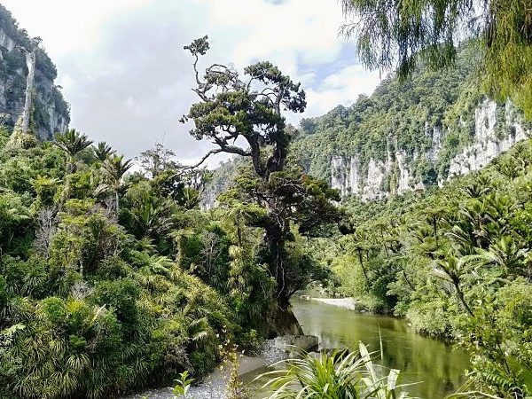 Taman Nasional Terindah di Selandia Baru yang Wajib Anda Kunjungi